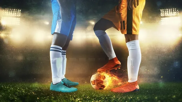 用户在手机上使用米乐体育APP